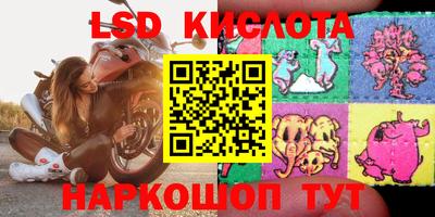 PSILOCYBIN Кулебаки