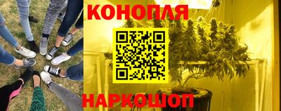 PSILOCYBIN Кулебаки