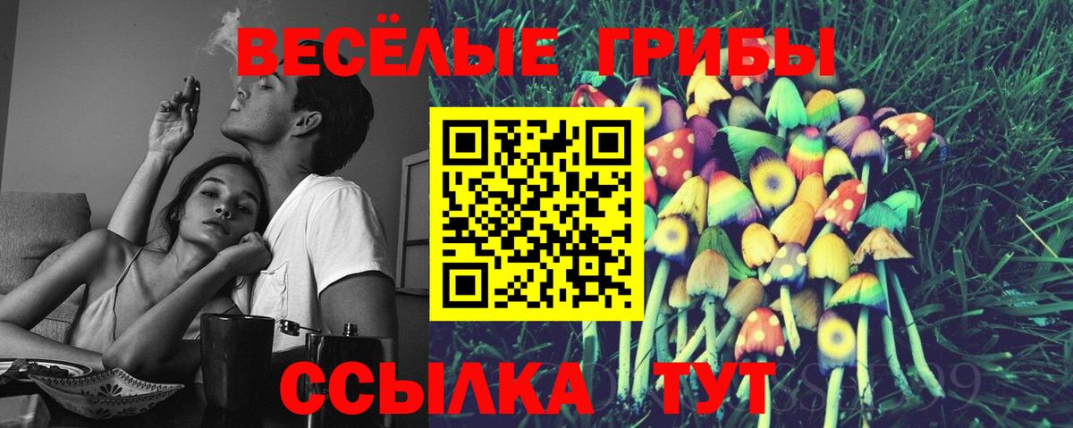 Псилоцибиновые грибы MAGIC MUSHROOMS Кирово-Чепецк