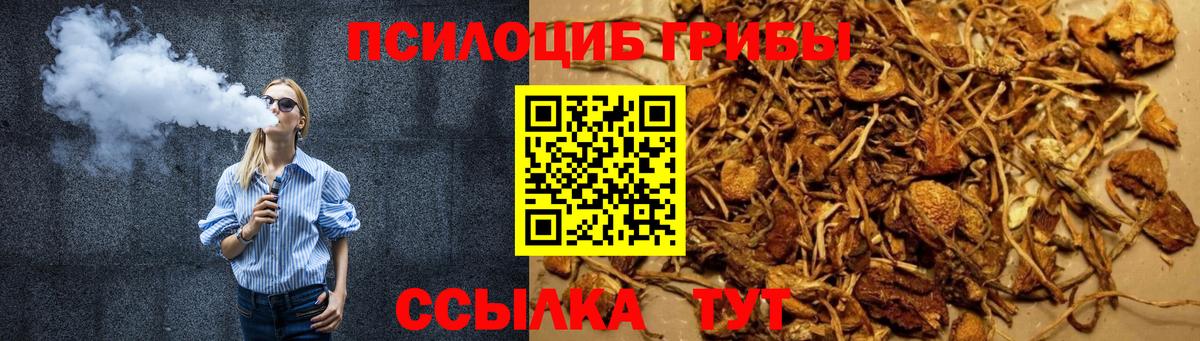 Кирово-Чепецк  даркнет сайт  Вход с VPN  Псилоцибиновые грибы Psilocybine cubensis 